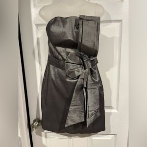 Metallic silver Dress